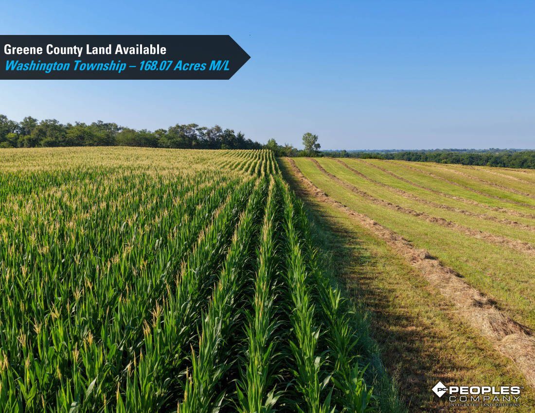 Listing Photo: Greene-County-Land-Available-168-Acres-19616 (8)